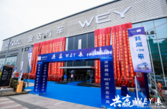 共赢WEY来——深圳金达哈弗&深圳腾达WEY双品牌4S店盛大开业
