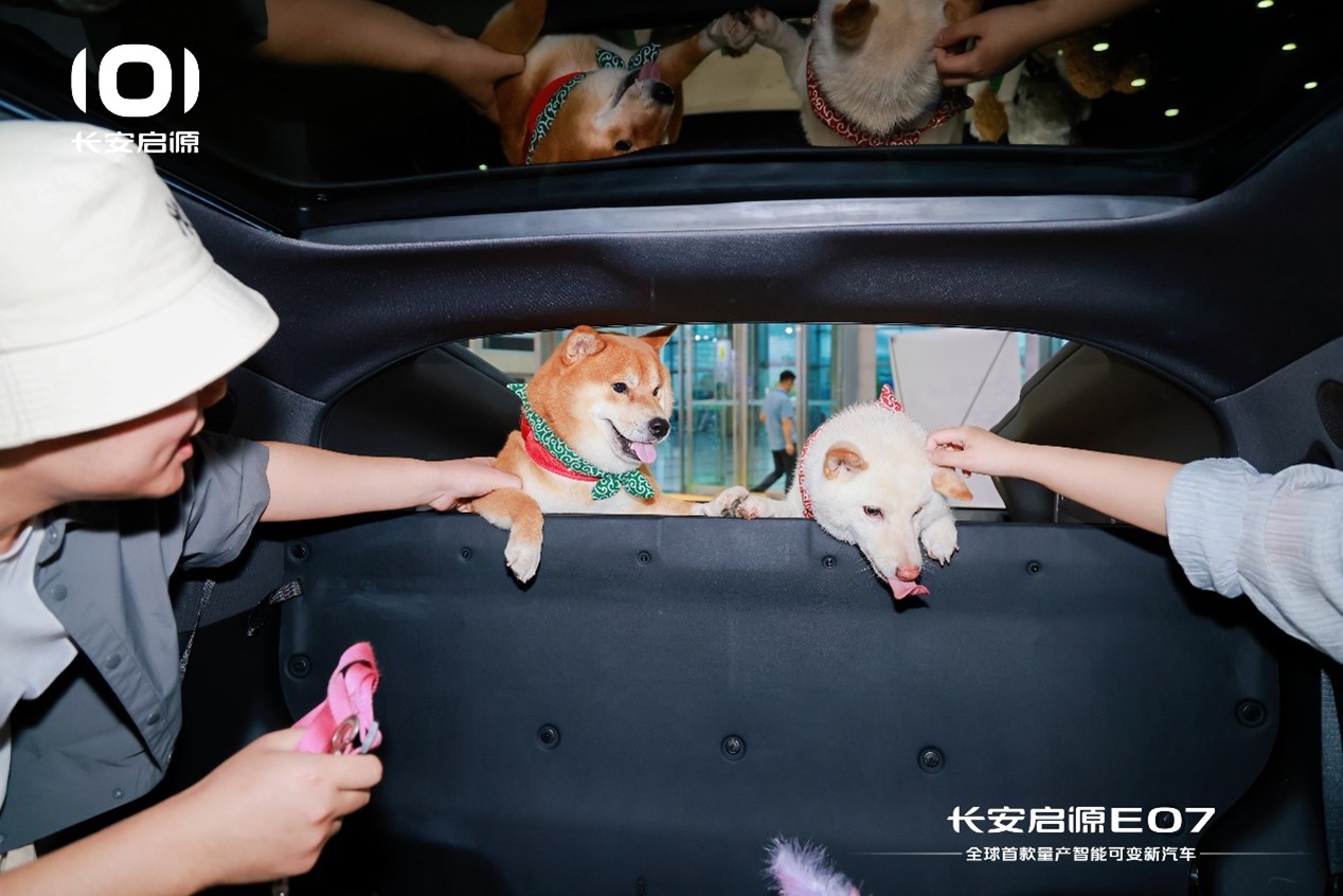 1722837036775977.jpg 图片3.jpg